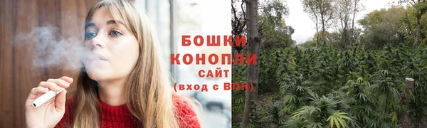 амф Михайловск