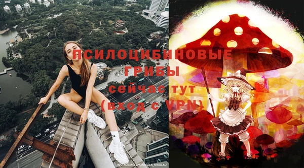 эйфоретик Михайловка