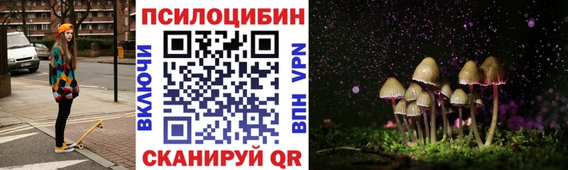 Купить где  Липецк  Галлюциногенные грибы прущие грибы 