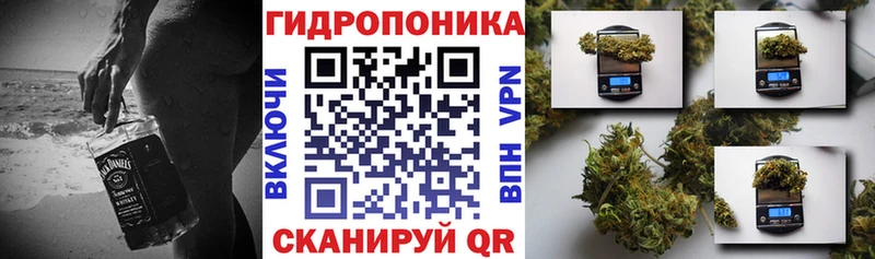 Купить где Липецк Шишки марихуана гибрид